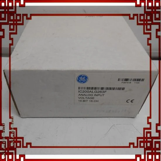GE Fanuc IC200ALG263 analoginės įvesties modulis VersaMax PLC